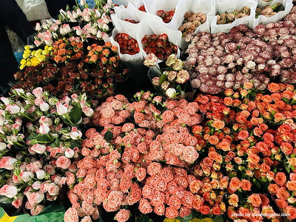 Kunming Dounan Flower Market