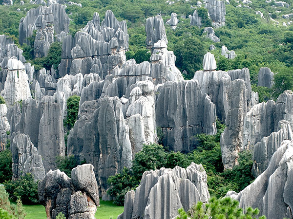 stone forest