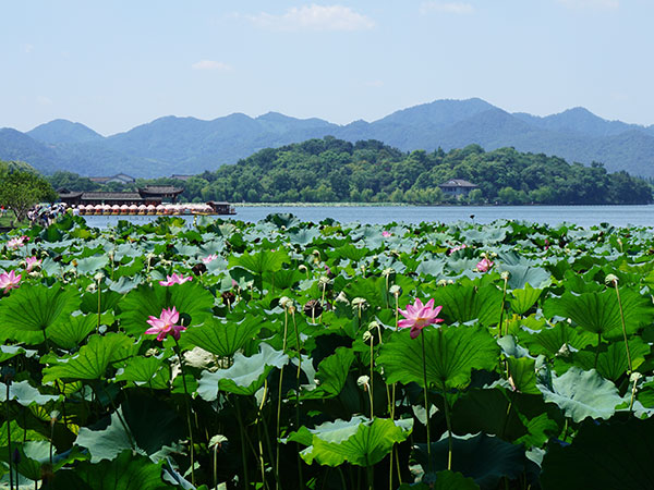 Suzhou